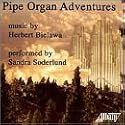 Pipe Organ Adventures