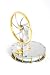 Low Temperature Stirling Engine