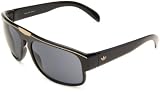 Adidas Santiago Rectangle Sunglasses<br />