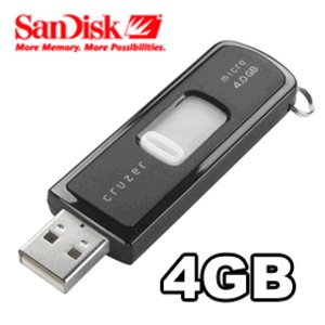 SanDisk Cruzer Micro - USB flash drive - 4 GB - Hi-Speed USB - black