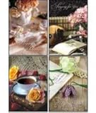 Scripture Greeting Cards-KJV-Boxed-All Occasion - 