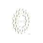 Miche Campy 21t Middle/Final Position Cog, 9-Speed