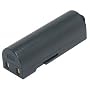 Pentax Optio Z10 Battery (Premium Japanese Cells, 1000 mAh, 5-YR Warranty) (by Wasabi Power&reg;)