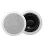 6.5in Round Dual Voice Coil Speaker (1)