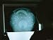 An X-Ray View of the Sky Disk Artists Photographic Poster Print, 18x24