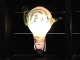 Snail Plug-In Night Light