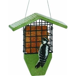 Birds Choice GSTP Green Suet Feeder