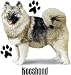 Keeshond Womens Scoop Neck T-Shirt