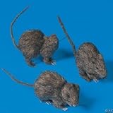 Realistic Hairy Rats for Halloween -3 Piece Set