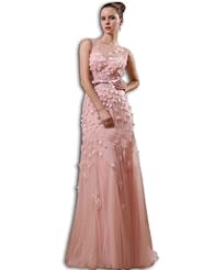Fitted Sheath Tulle  Dress with a Brush/Sweep Train 