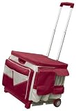 Rolling Organizer and Saddle Bag