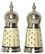 Decorative Salt and Pepper Shakers With Spotted Bone Sides