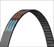 Dayco 5060780 Fan Belt