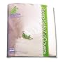 SLEEP SAFE BED BUG, DUST MITE, and ALLERGEN PROOF "QUEEN 12"" Mattress ZipCover, Size: Queen 60" x 80" x 12"deep ENCASEMENT - compare price