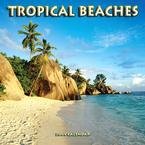 Tropical Beaches 2009 Mini Wall Calendar