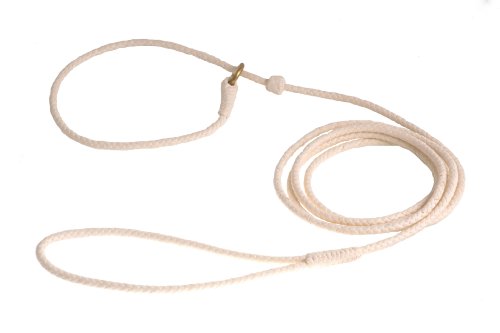 thin slip leads for dogs