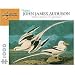 John James Audubon White-Tailed Tropicbird Puzzle: 1000 pc