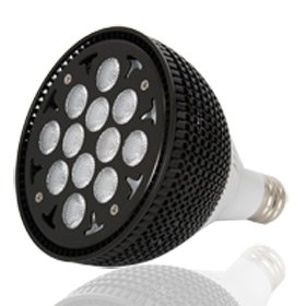 ORPHEK PR-25 DIMMABLE 6 BLUE/6 WHITE LED PENDANT