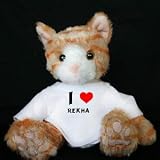 Plush Stuffed Brown Cat Toy with I Love Rekha T-Shirt (first name/surname/nickname)