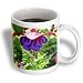 Fuchsia Blue Eyes Flower Flowers Photography - 11oz Mug