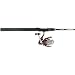 Fishing: Pflueger President XT/Cabela's MagTouch Spinning Combo