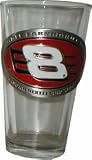 Dale Earnhardt Jr - Glass