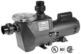 haywood pumps:WATERWAY CHAMPION 1.5 HP FULL RATED POOL PUMP
