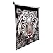 Electronics : EliteScreens M135UWH 135-Inch 16:9 HDTV Format 66-Inch x 117.3-Inch Manual Series Pull-down Screen