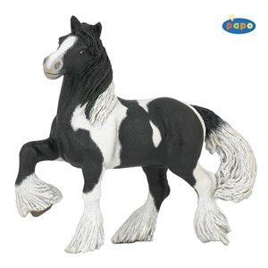 51079 - PAPO Pferdewelt - Irish Cob