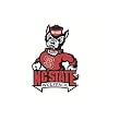 North Carolina State University Carsters - Coasters for Your Car