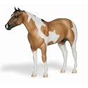 Banjo - Buckskin Paint&nbsp;