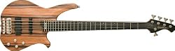 Washburn CB Series CB15OVK Electric Bass