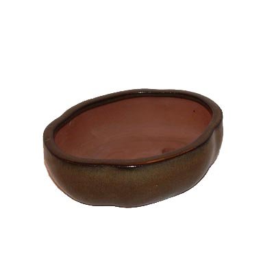 17cm Greenish Oval Glazed Bonsai Pot