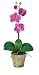 Phalaenopsis Silk Orchid Flower Arrangement