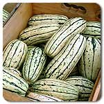 100% Certified Organic: Delicata Winter Squash Seeds - B002AT6QDE