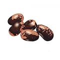 Steirergold - K�ferbohnen - getrocknet - 5 x 1000 g