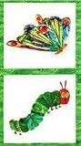 The Very Hungry Caterpillar - Green Border Panel (A-5280M)