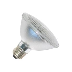 PAR30 60 LED 110 120Vac Household Down Light Bulb, warm white,1307WW by