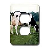 Farm Animals - Holstein Cow - Light Switch Covers - 2 plug outlet cover