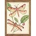 Dimensions Counted Cross Stitch, Dragonfly Duo
