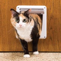 PetSafe Four-Way Locking Deluxe Cat Flap with Frame, White