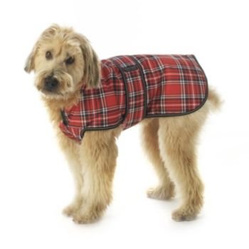 Kodiak Plaid Dog