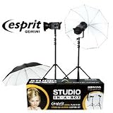 Photo : Esprit Gemini 200 Studio in a Box Kit (this kit does not include a bag)