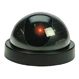 DOME DUMMY CAMERA W/MOTION ACTIVATED LIGHT