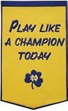 Notre Dame Fighting Irish 24x36 Dynasty Wool Banner - Play Like A Champion Today Style