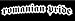 Romanian Pride Vinyl Sticker - White
