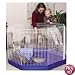 Marshall Pet Small Animal Pen