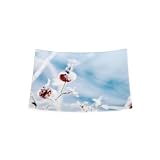 Produkt-Bild: ASA X-MAS Teller Hagebutte 16x16 cm