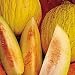 Organic Sungold Casaba Melon 35 Seeds