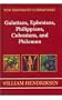 New Testament Commentary: Exposition of Galatians, Ephesians, Philippians, Colossians, and Philemon